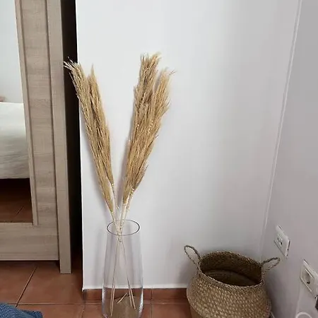 Casa Lunita * أرونا
