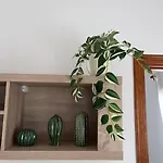 Casa Lunita